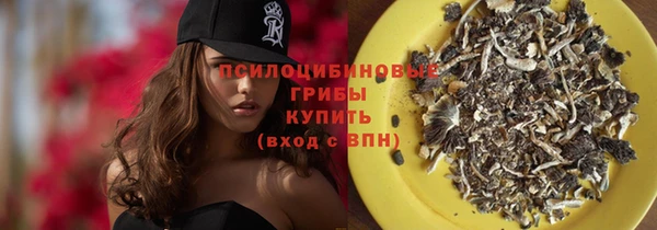 хмурый Абаза