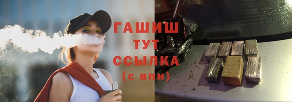 хмурый Абаза