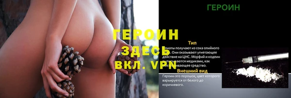 хмурый Абаза