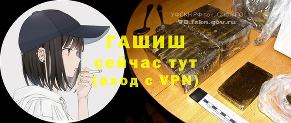 хмурый Абаза