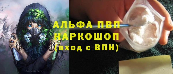 хмурый Абаза