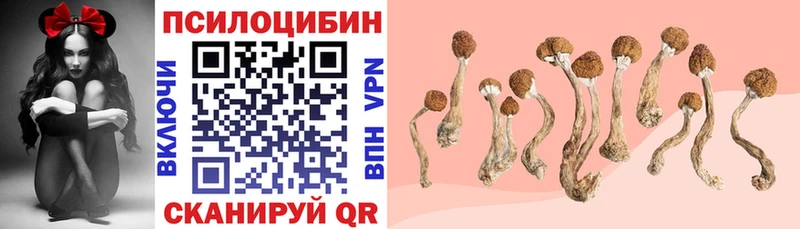 Галлюциногенные грибы MAGIC MUSHROOMS  Дальнереченск 